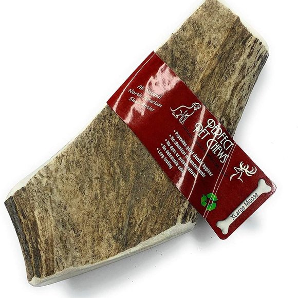 Perfect Pet Chews - Moose Antler Dog Antler Chew - Small TreatSize:Jumbo - Dog W